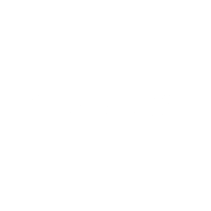 Logga Skanska