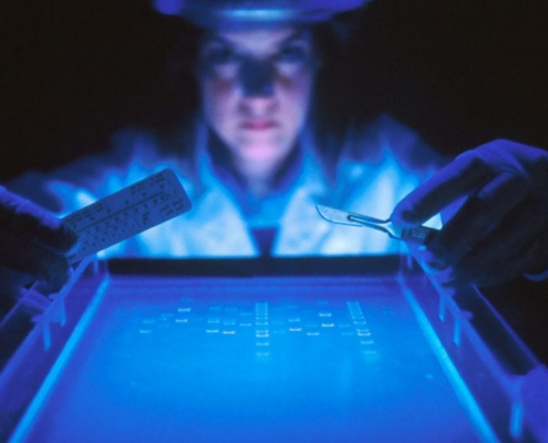 female doctor holding medical tools in her hands