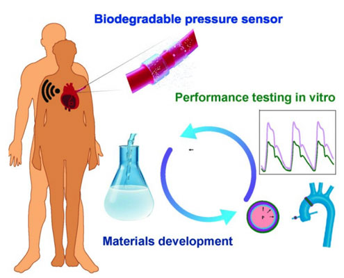 BioAct-self-powered-biodegradable-pressure-sensor diagram