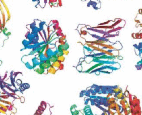 picture of colorful molecules